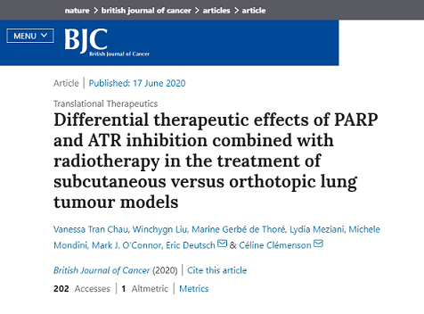 皮下対同所性肺腫瘍モデルの治療における放射線療法と組み合わせたPARPおよびATR阻害の異なる治療効果