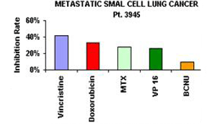 転移性小細胞肺がグラフ